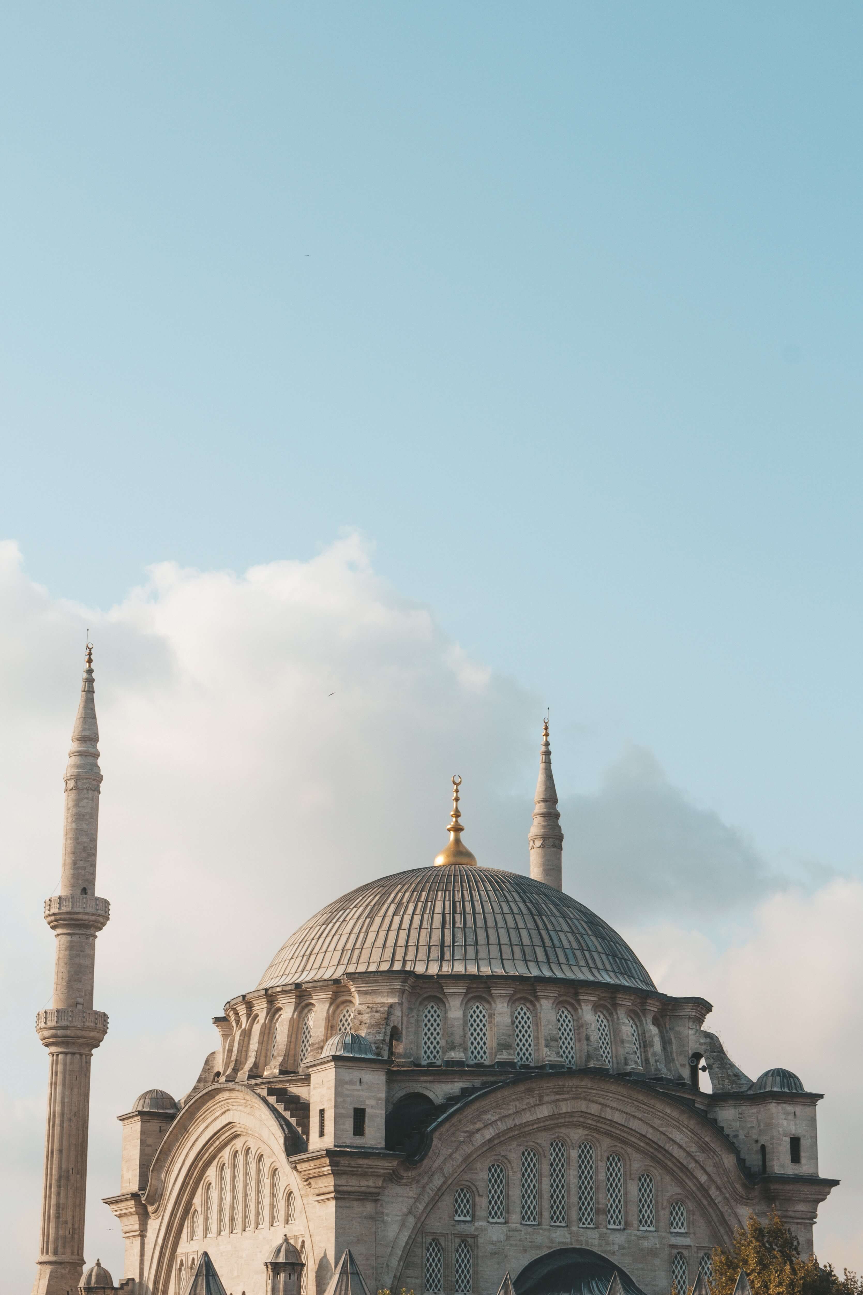 Wallpapers 8